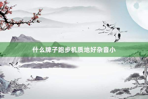 什么牌子跑步机质地好杂音小